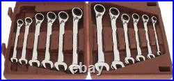 Paramount 12 Pc, Metric Reversible Ratcheting Combination Wrench Set