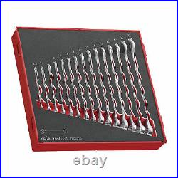 Teng Tools TED6515 15 Piece Metric Combinaiton Wrench Set in EVA Tray